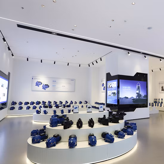 Wasserpumpe mit bürstenlosem Gleichstrommotor, 1200 gpd, 4,5 l/